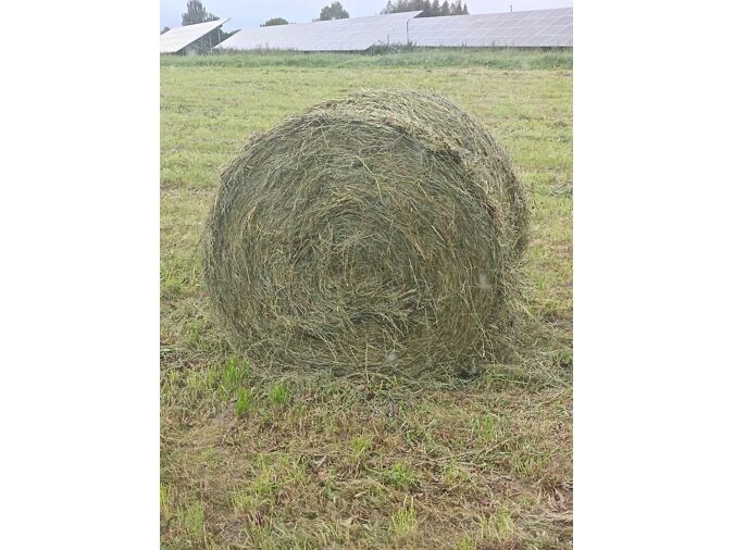 CLAAS ROLLANT 62