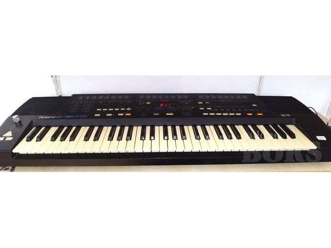 SÜNTESAATOR ROLAND E36