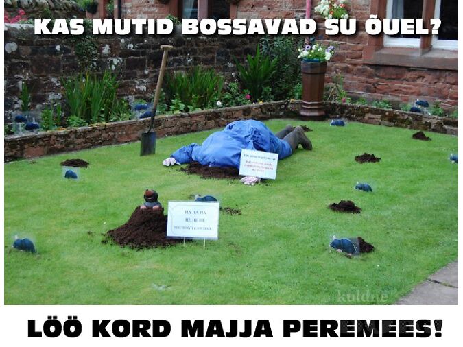 MUTILÕKSUD: Löö kord majja!