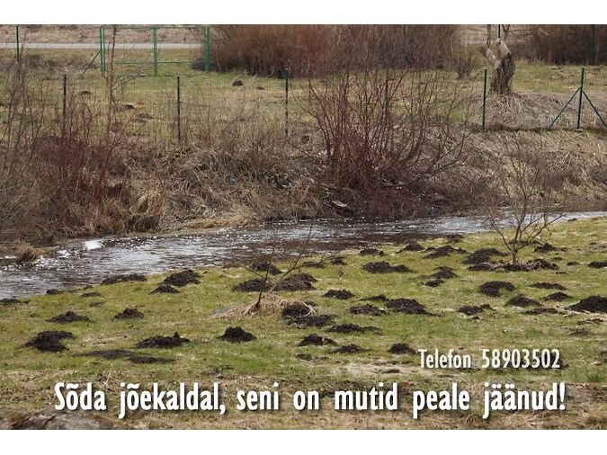 MUTILÕKSUD: Kas annad alla?