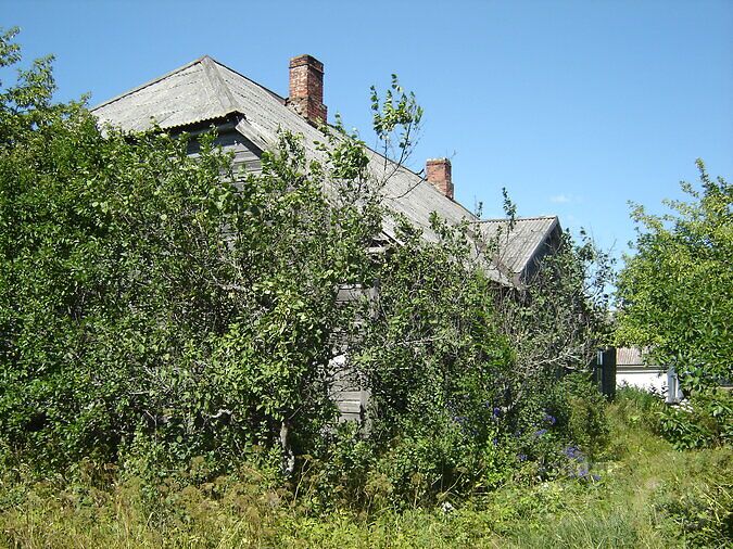 PÄRNUMAA, SAARDE VALD, TIHEMETSA  5,5 HA