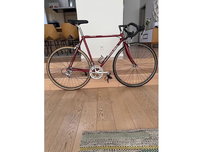 OLMO SPORTMAN VINTAGE