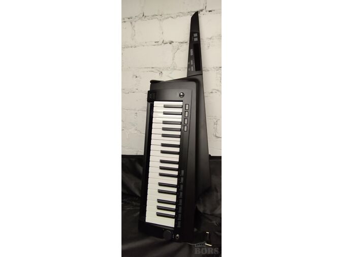 SÜNTESAATOR KORG RK-100S 2 KEYTAR