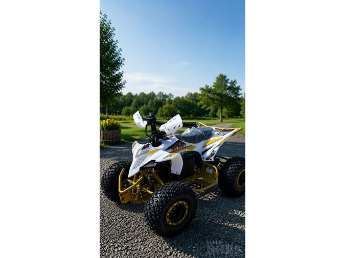 ELEKTRILINE ATV PREMIUM FALCON 800W 48V