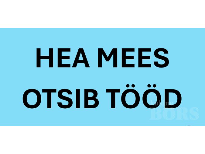 HEA MEES OTSIB TÖÖD