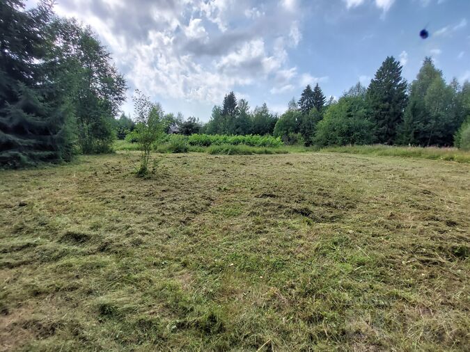 IDA-VIRUMAA, ALUTAGUSE VALD, TÄRIVERE KÜLA