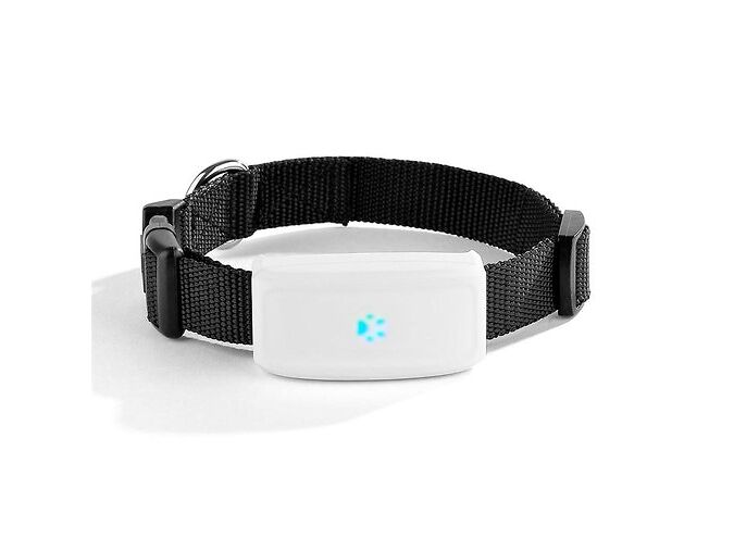GPS KAELARIHM TKSTAR JALITAJA KOERTELE