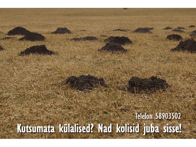 MUTILÕKSUD: Kutsumata külalised