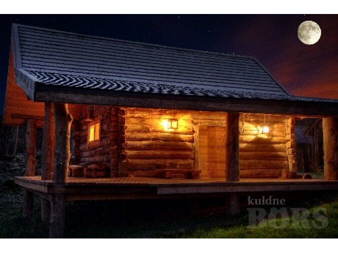 LAASTUKATUSE JA KATUSELAASTU ERIPAKKUMINE