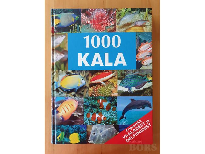 1000 KALA