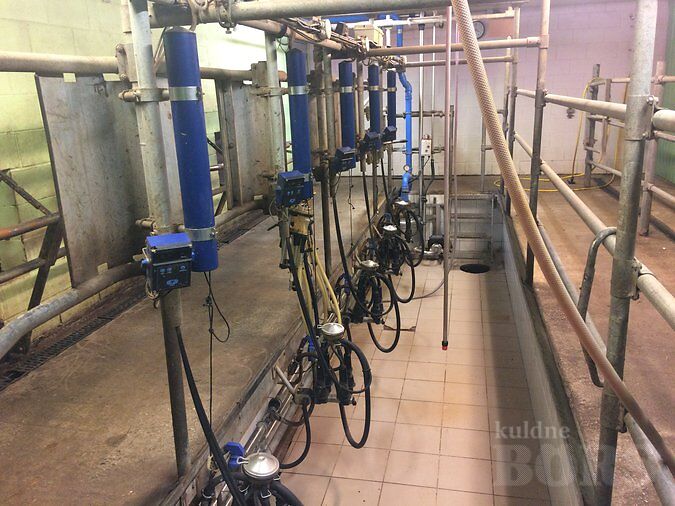 LÜPSIPLATS DELAVAL 2X7