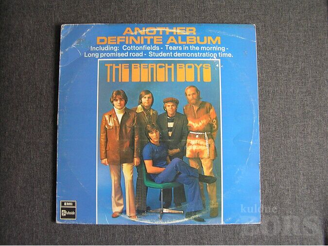 THE BEACH BOYS "ANOTHER DEFINITE ALBUM"