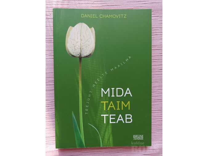 MIDA TAIM TEAB